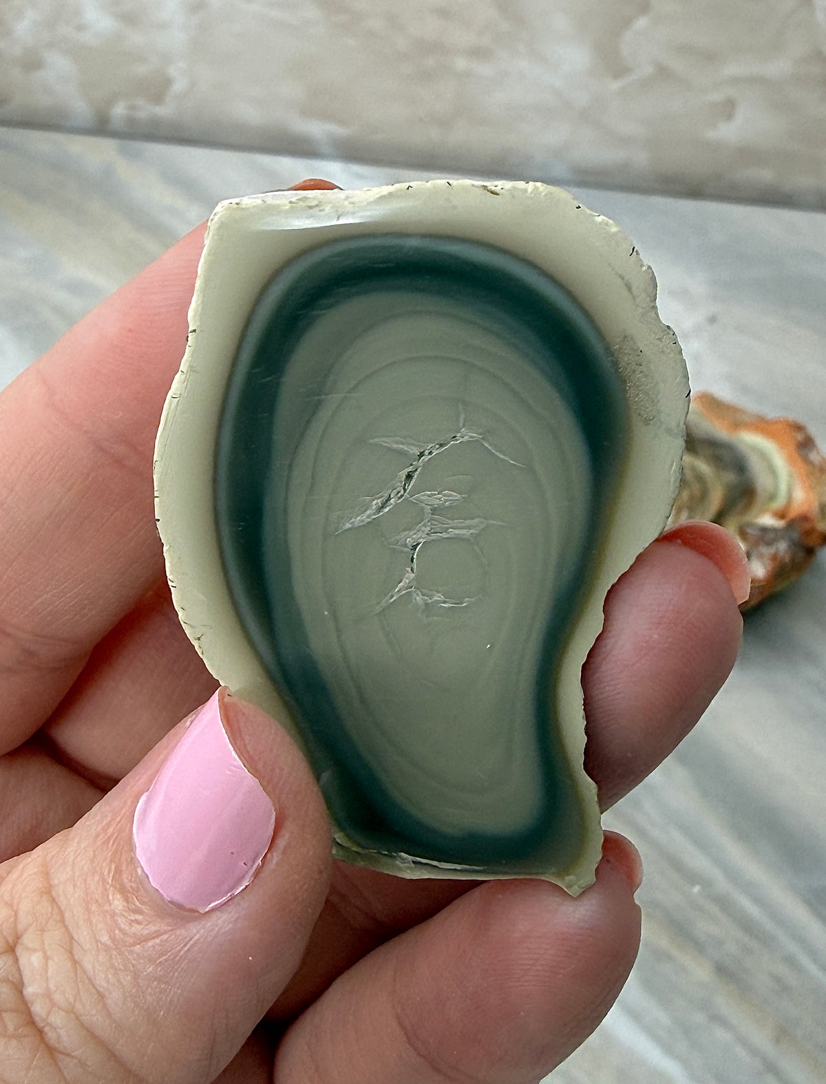 Imperial Jasper from Mexico