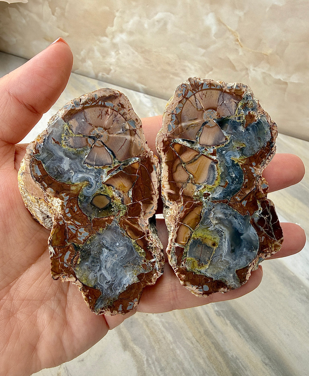 Thunder Agate Egg Pair from Mexico
