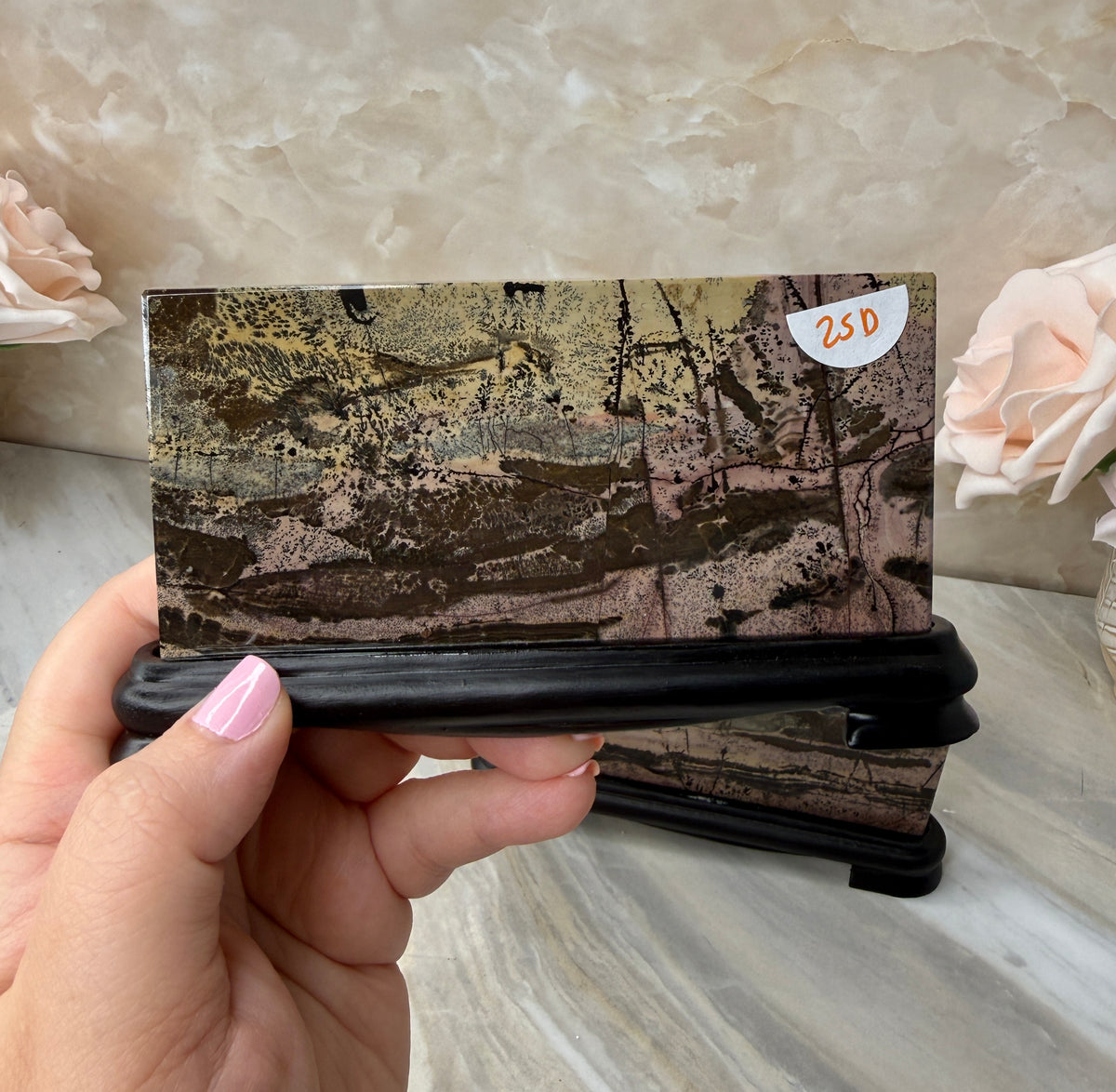Picture Jasper Slab on Stand