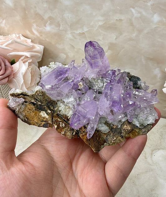 Vera Cruz Amethyst Cluster