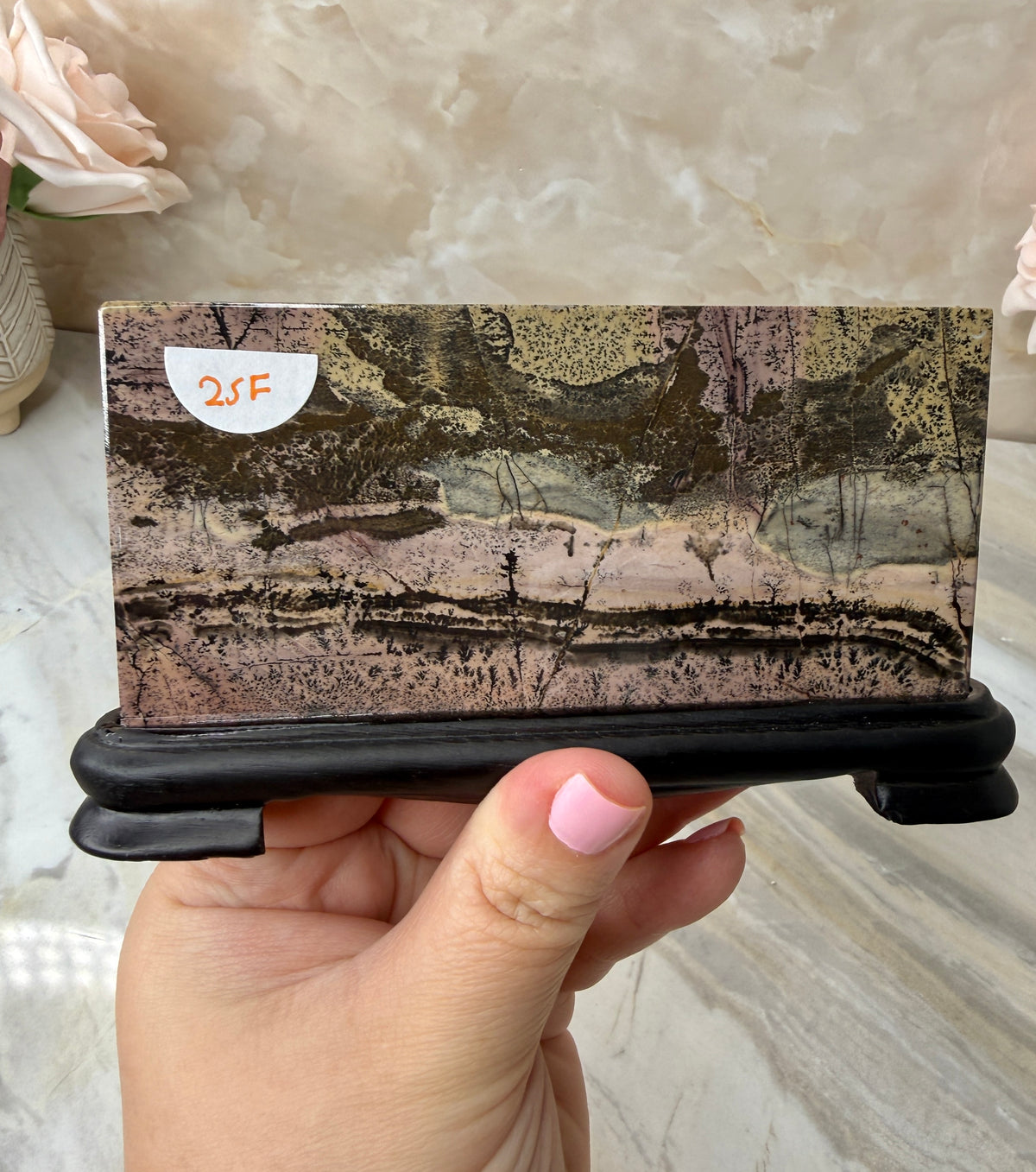 Picture Jasper Slab on Stand