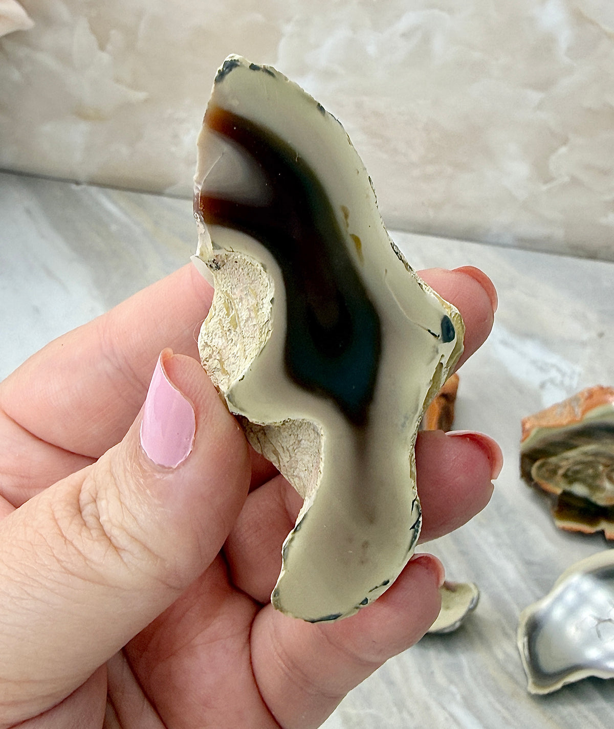 Imperial Jasper from Mexico