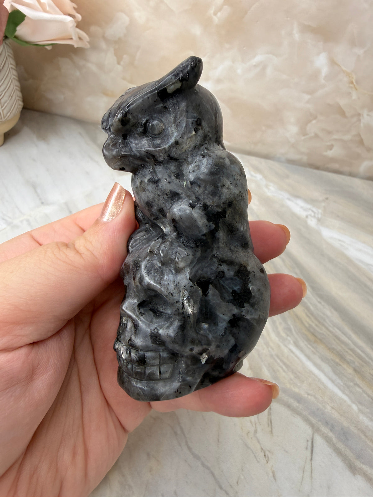 Larvikate Owl & Skull Carving