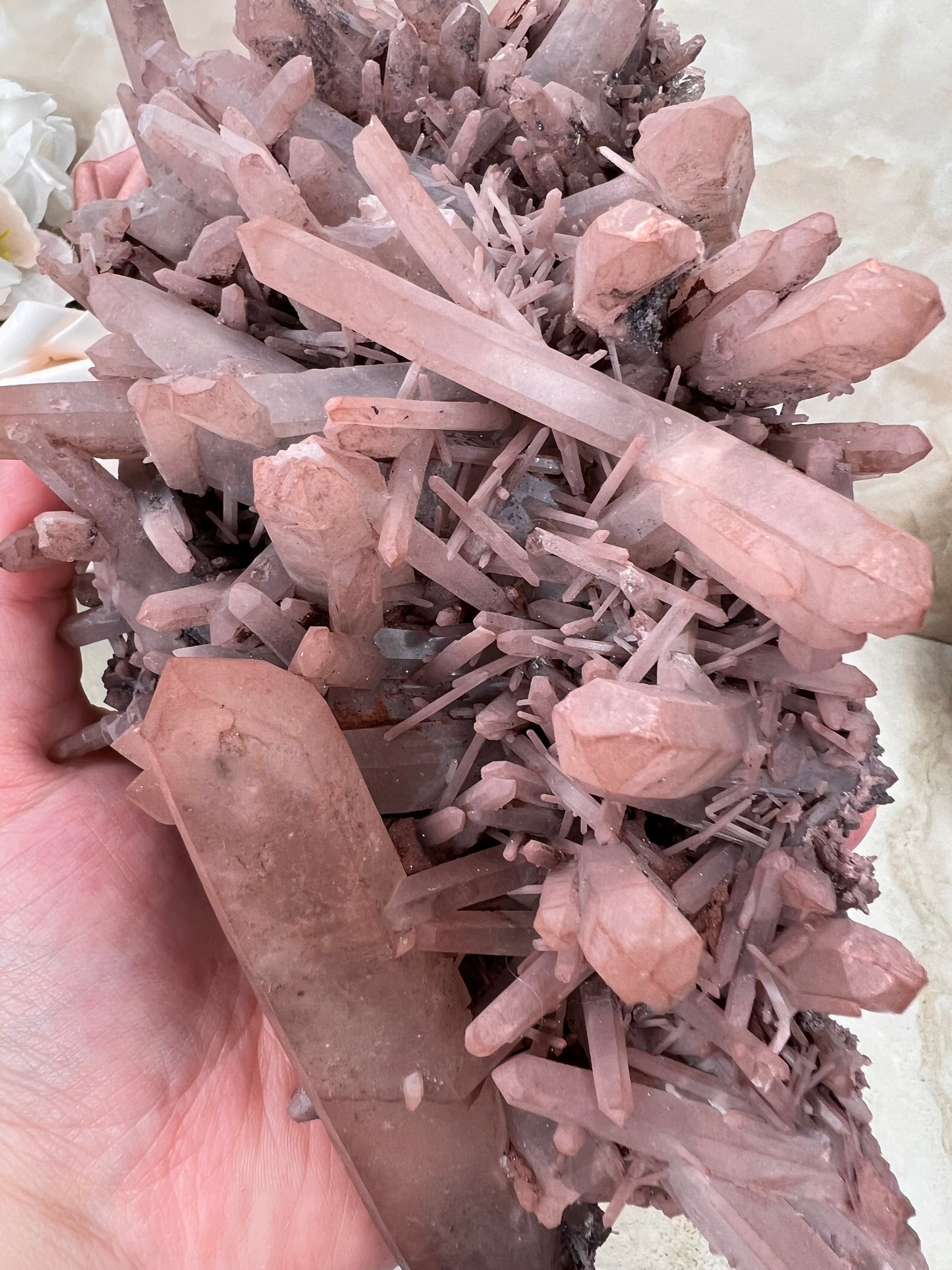 Red Dragon Lemurian Cluster from Brazil