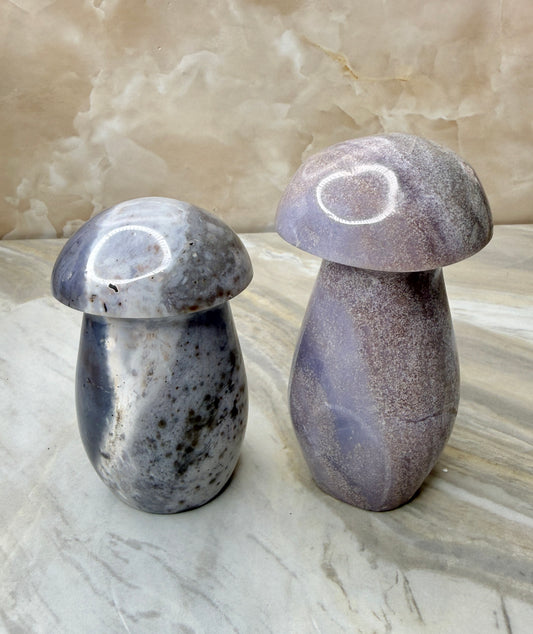 Sea Jasper Mushroom