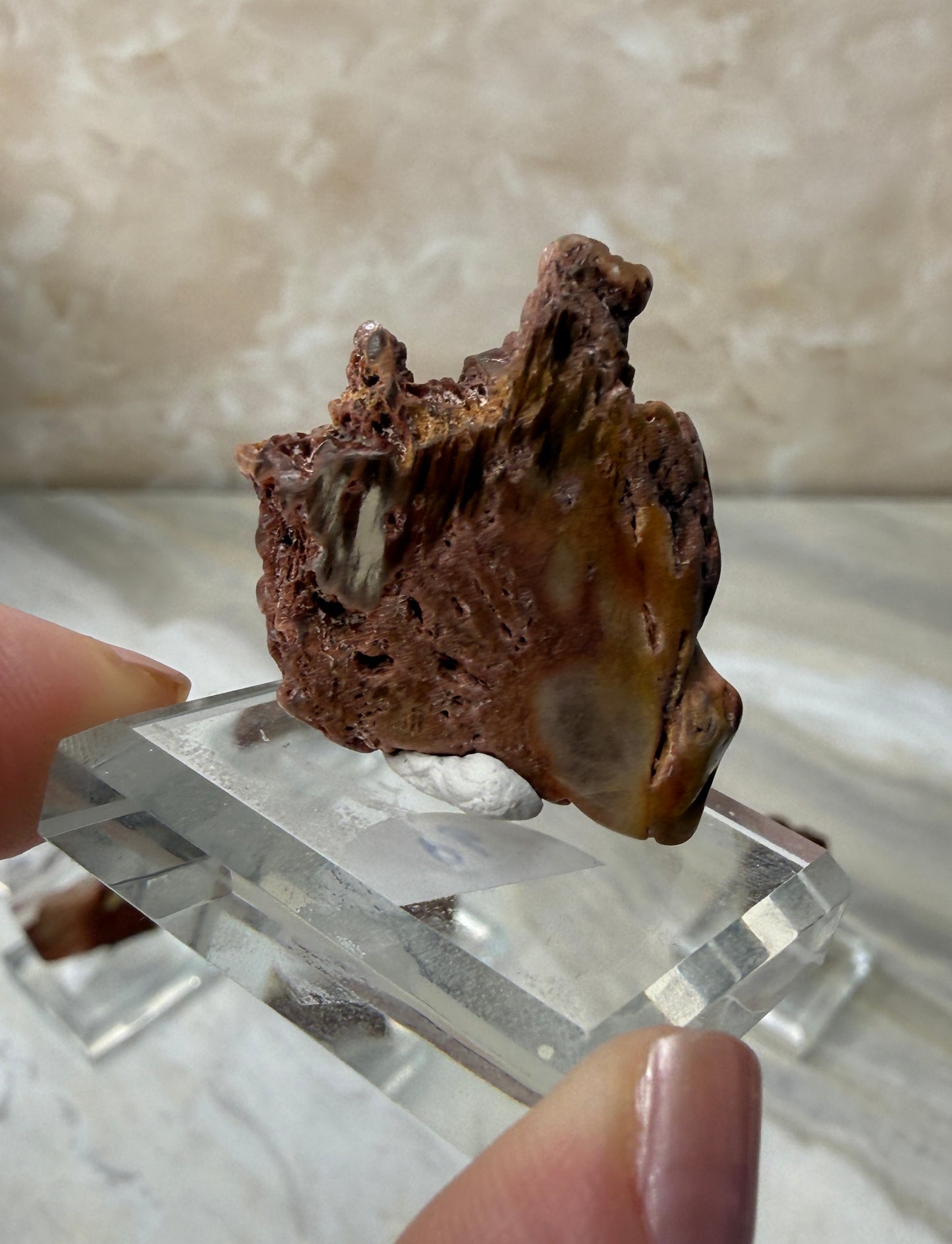 Mini Amphibole Slabs from Brazil