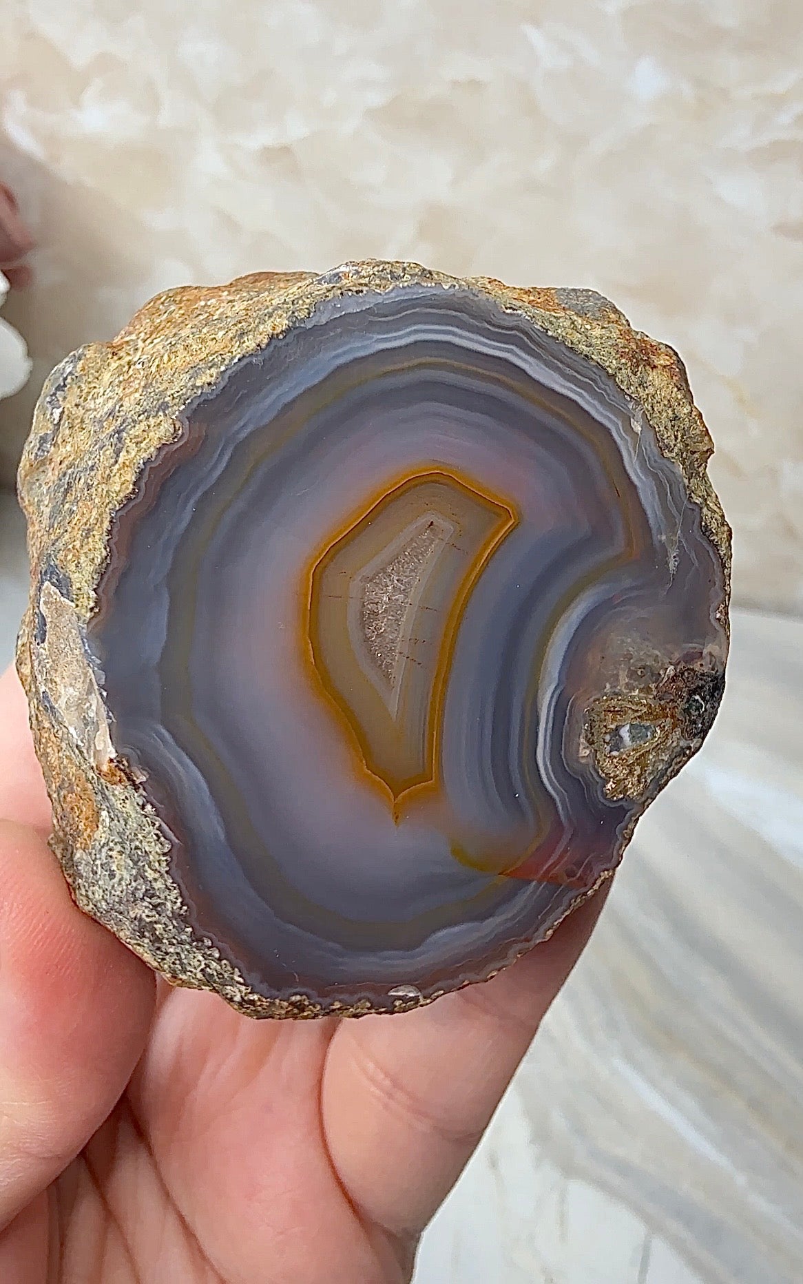 Condor Agate from Argentina