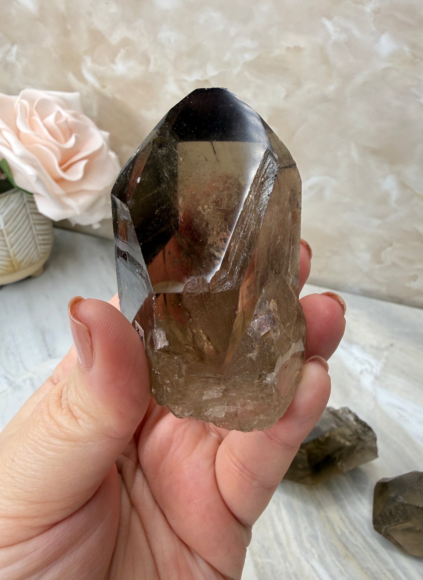 Smokey Lemurian Half Polished