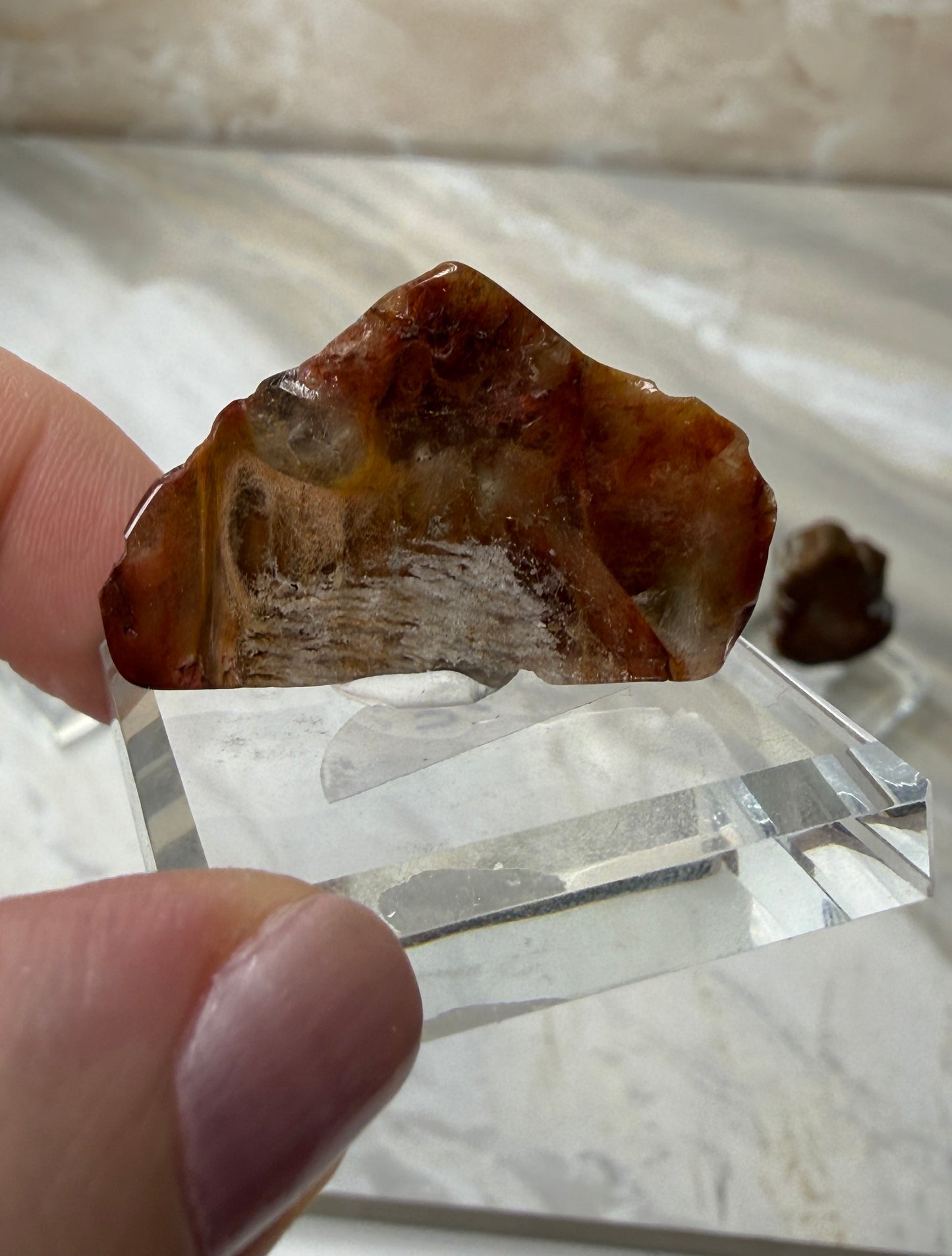 Mini Amphibole Slabs from Brazil