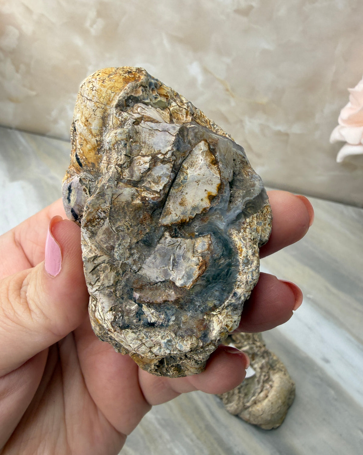 Thunder Agate Egg Pair from Mexico