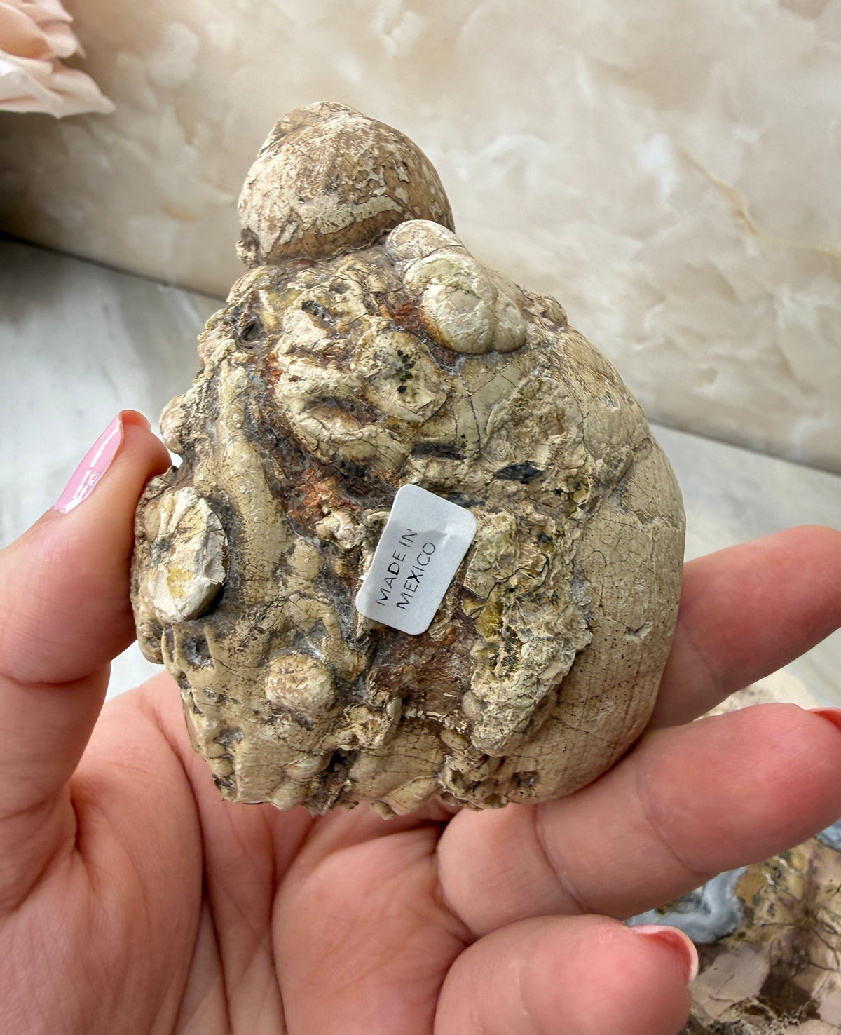 Thunder Agate Egg Pair from Mexico