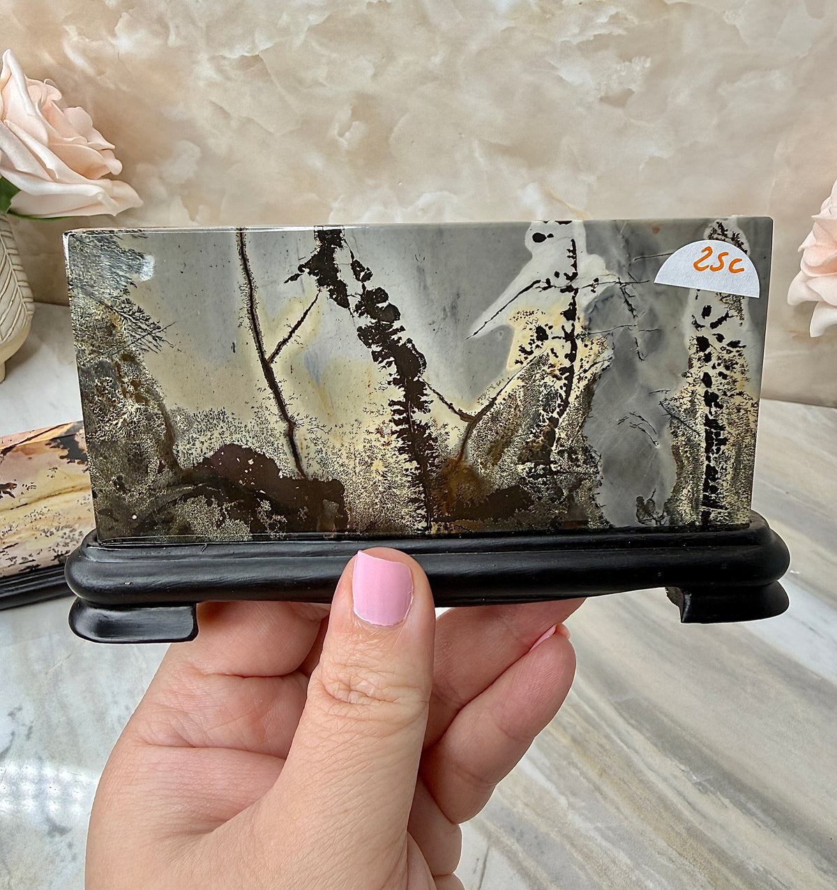 Picture Jasper Slab on Stand