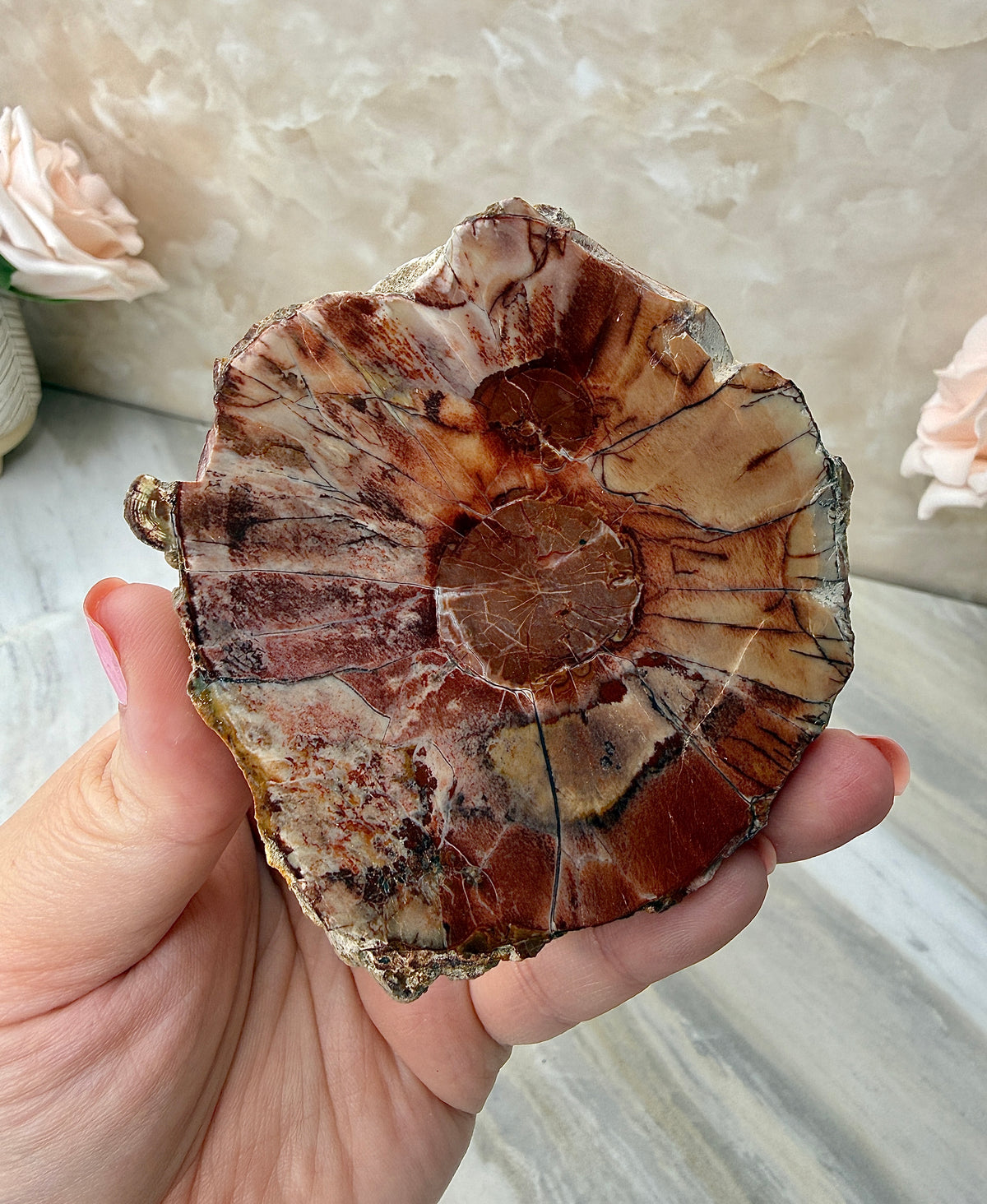 Thunder Agate Egg Pair from Mexico