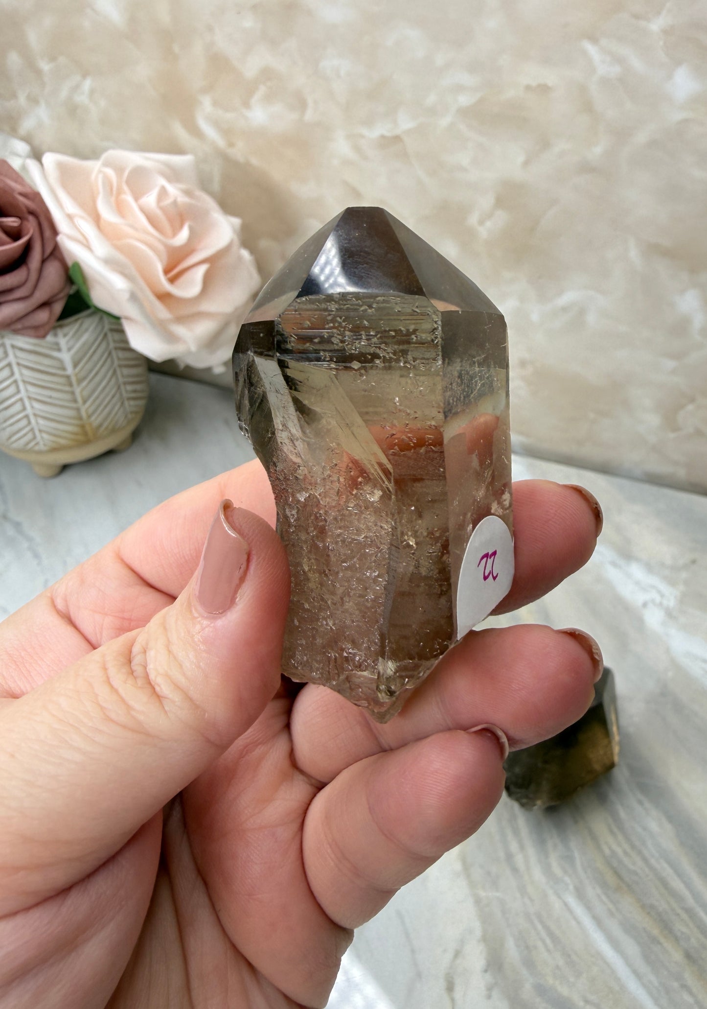 Smokey Lemurian Half Polished