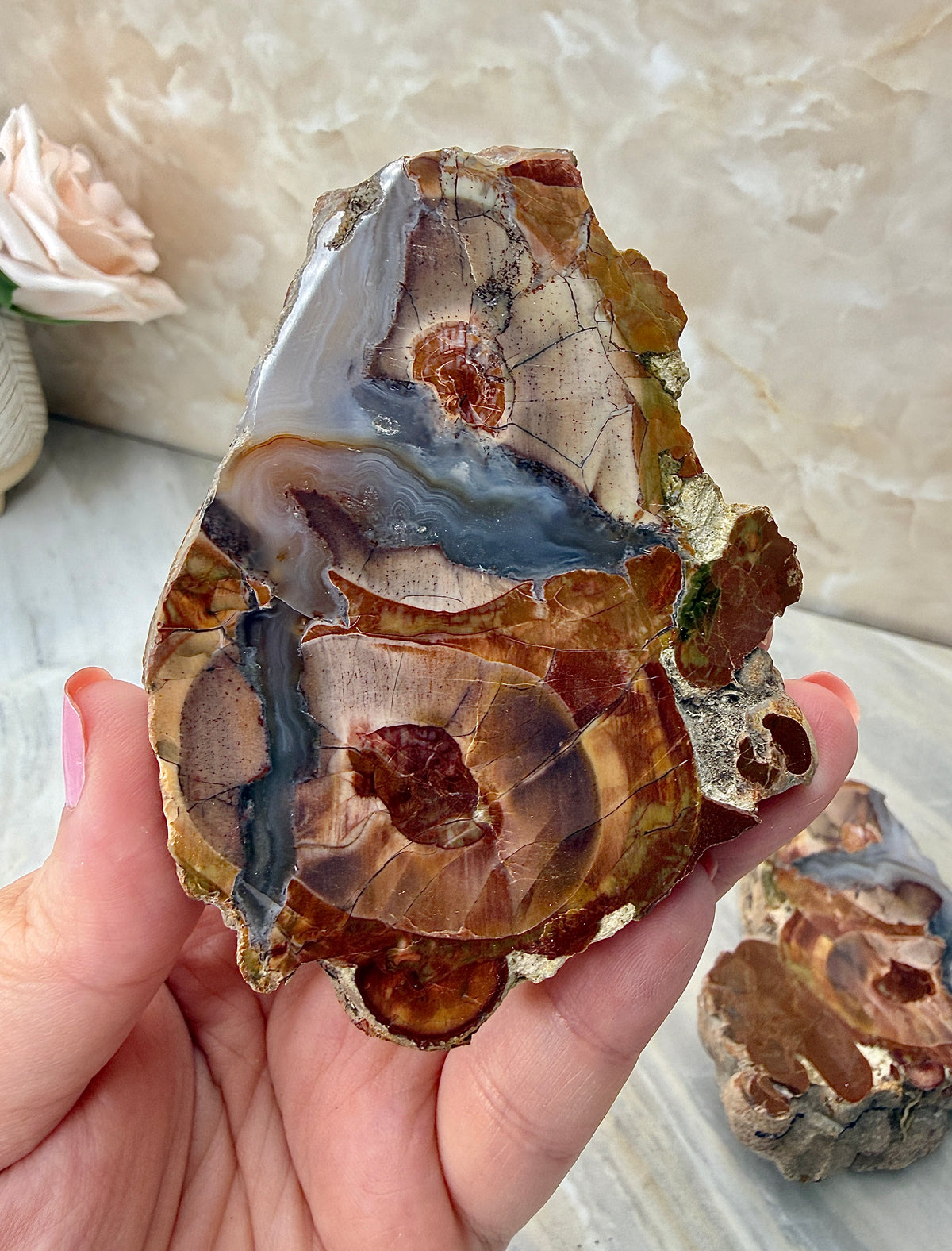 Thunder Agate Egg Pair from Mexico