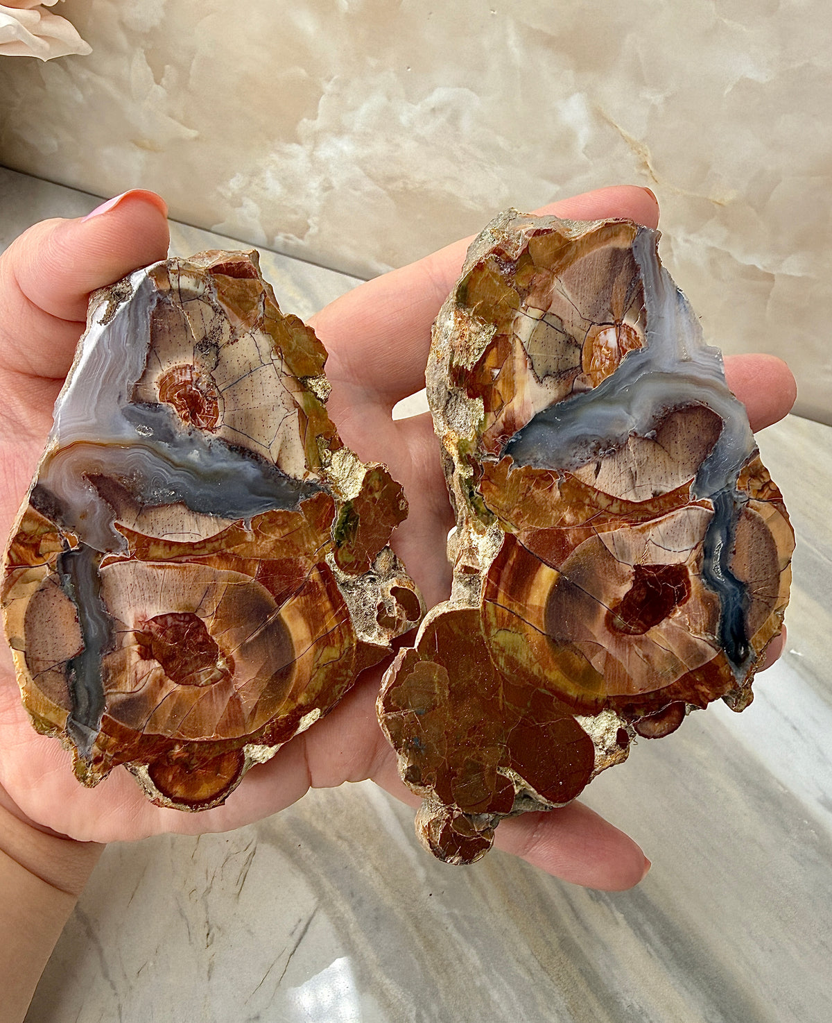 Thunder Agate Egg Pair from Mexico