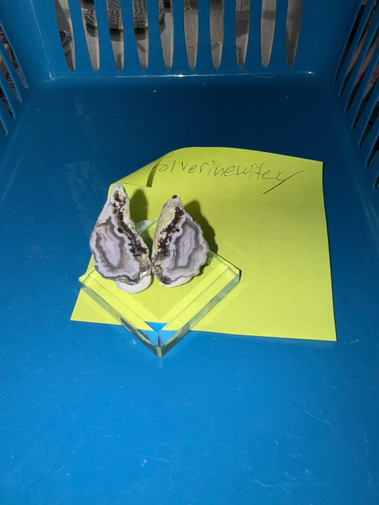 Reserved for Eviadora (open)