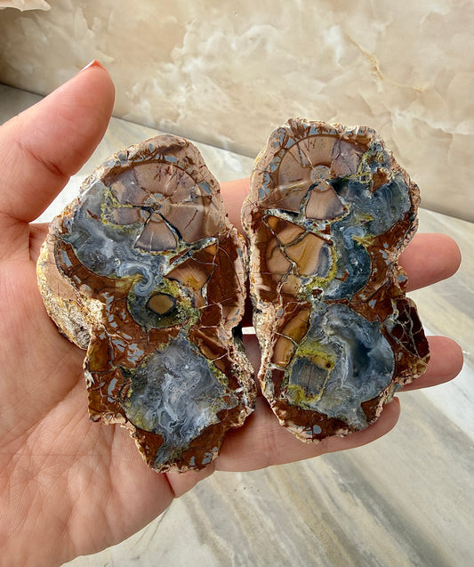 Thunder Agate Egg Pair from Mexico