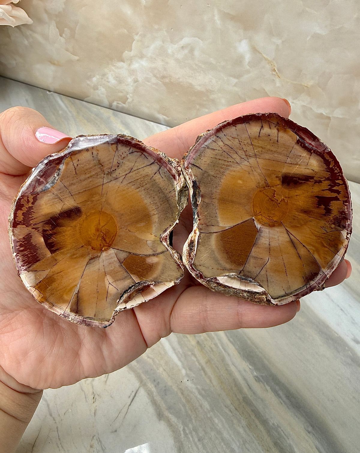 Thunder Agate Egg Pair from Mexico