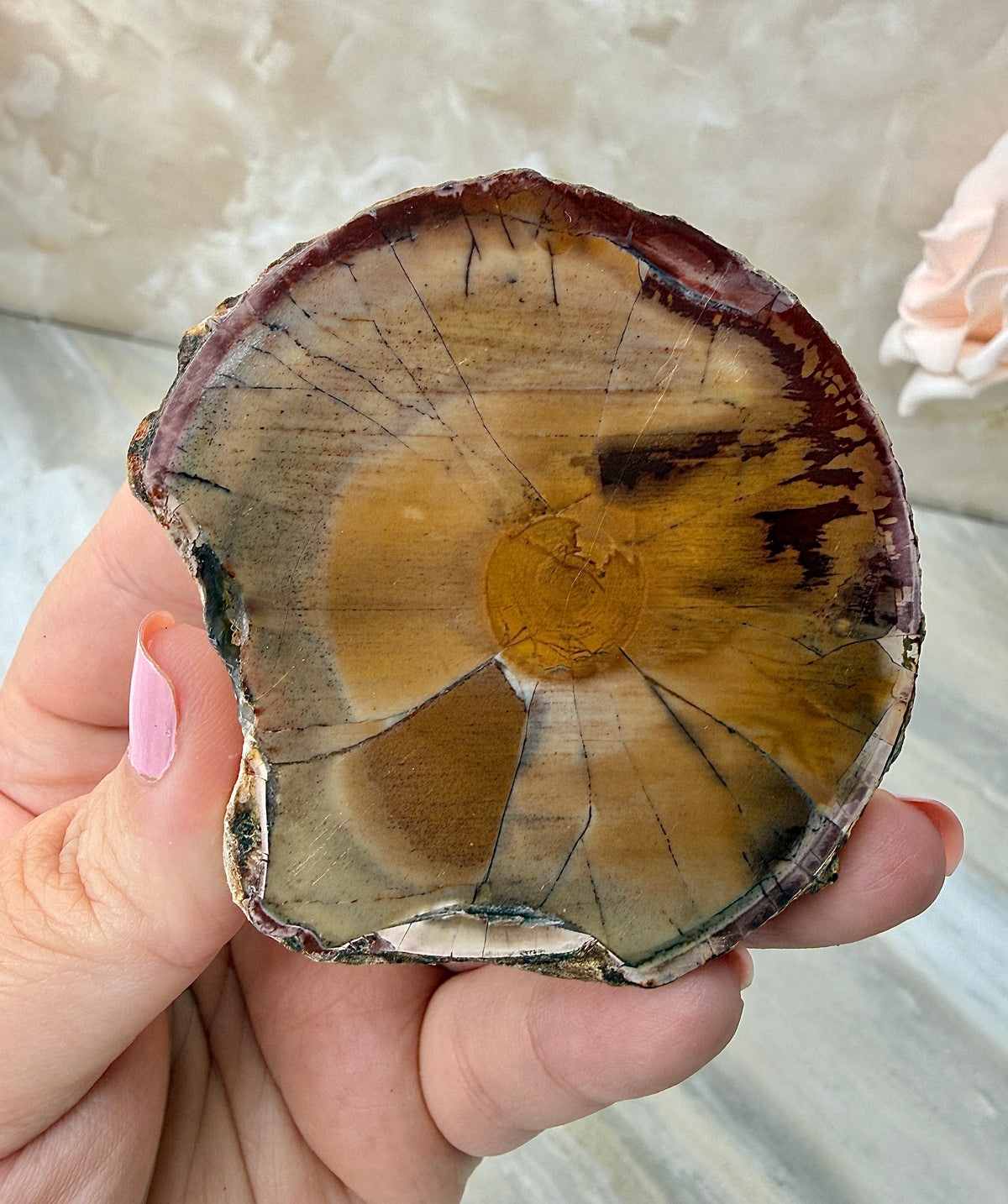 Thunder Agate Egg Pair from Mexico