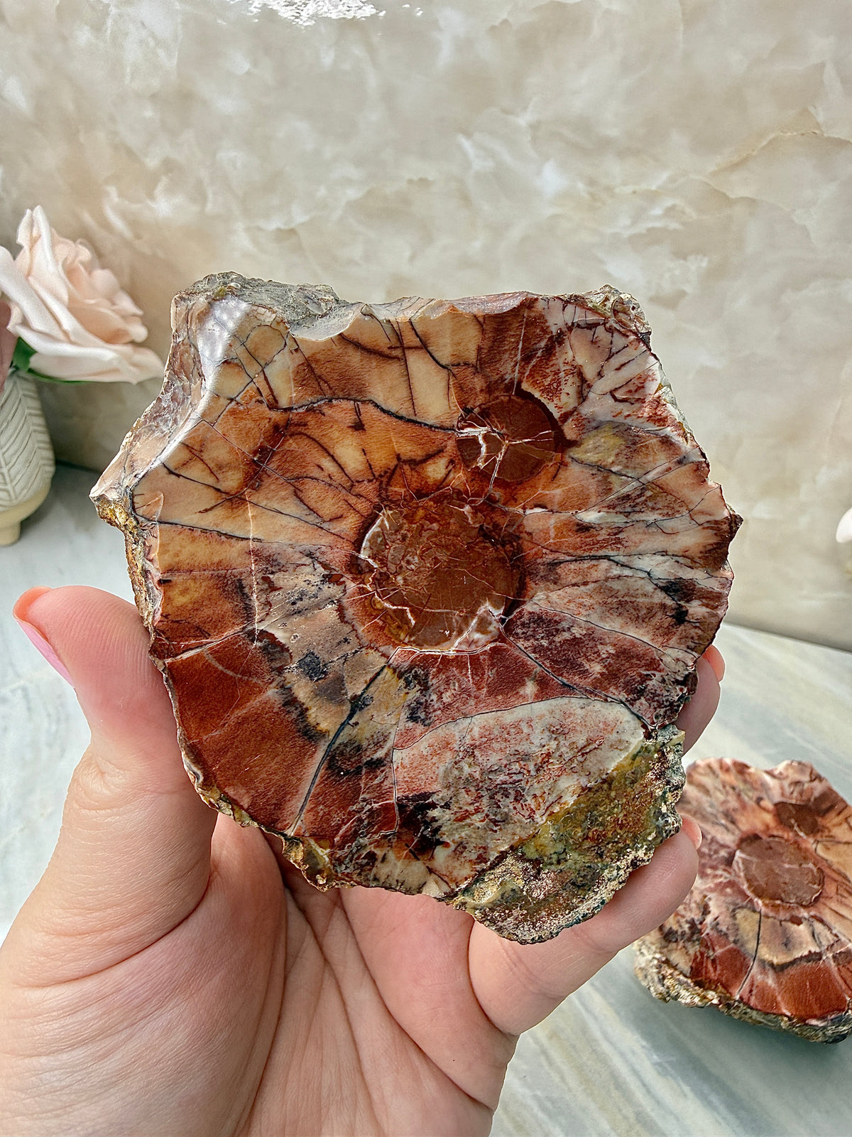 Thunder Agate Egg Pair from Mexico
