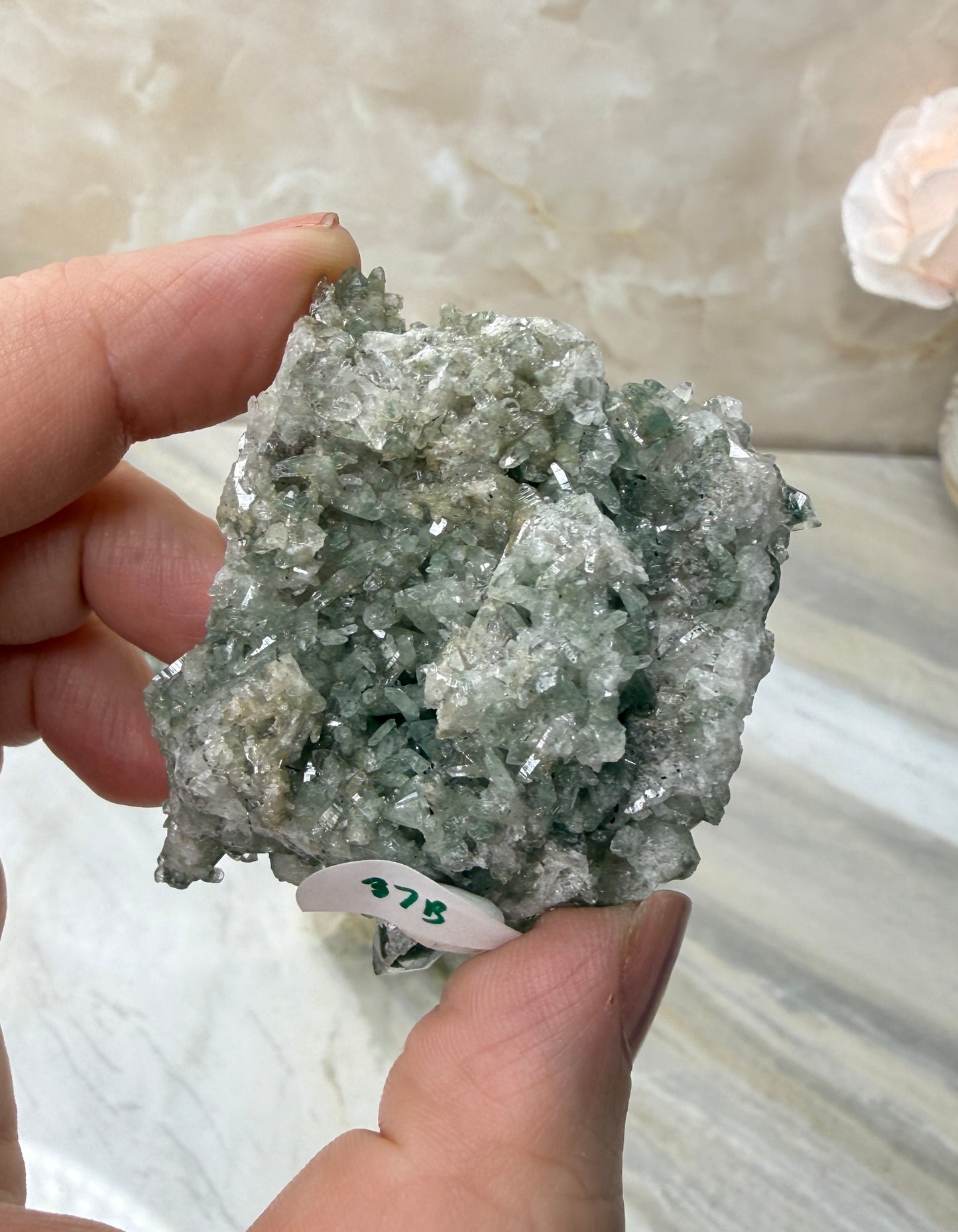 Himalayan Quartz Cluster