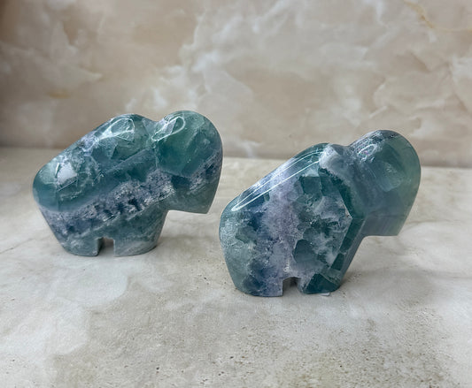 Mexican Fluorite Buffalo