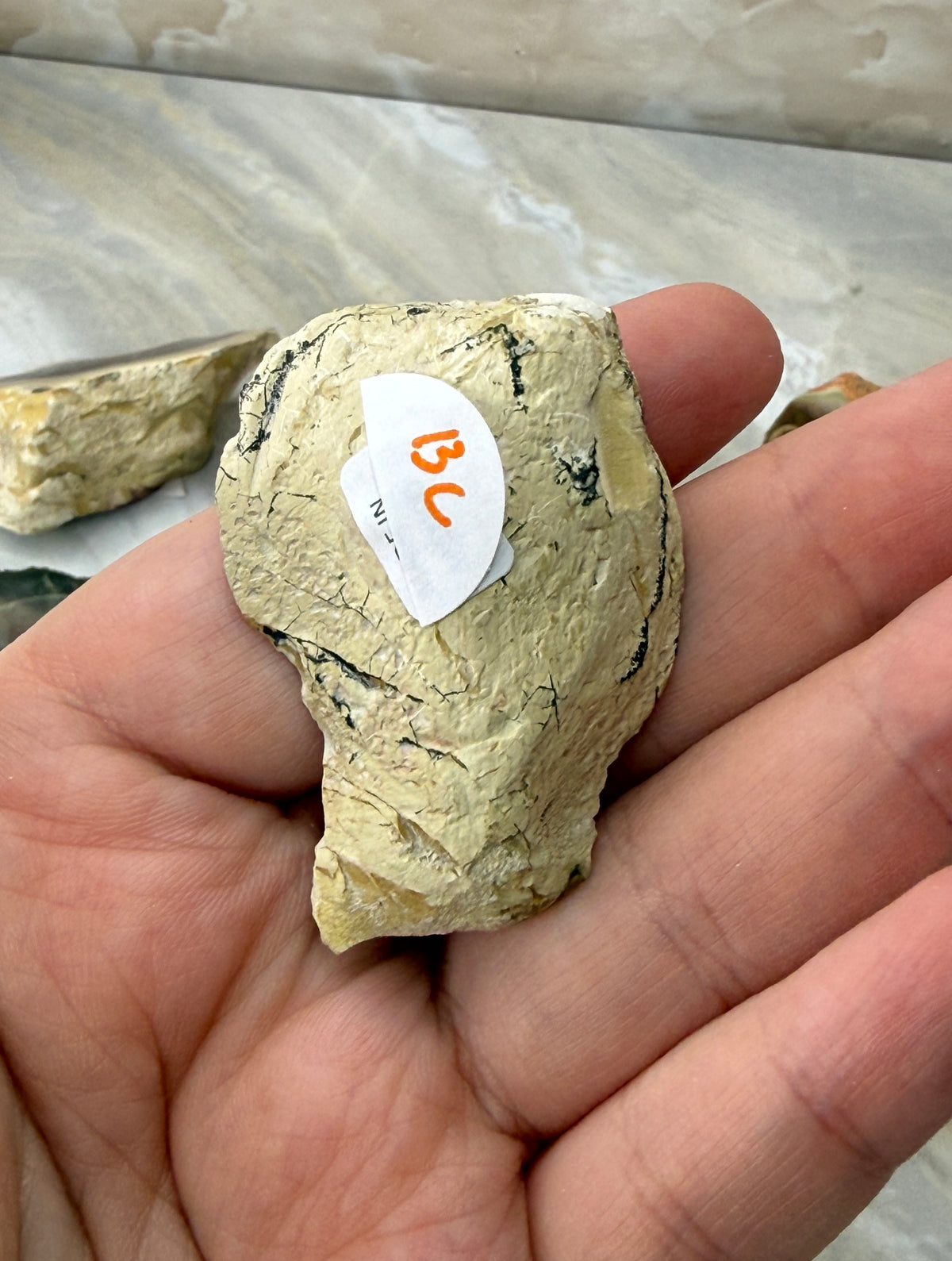 Imperial Jasper from Mexico