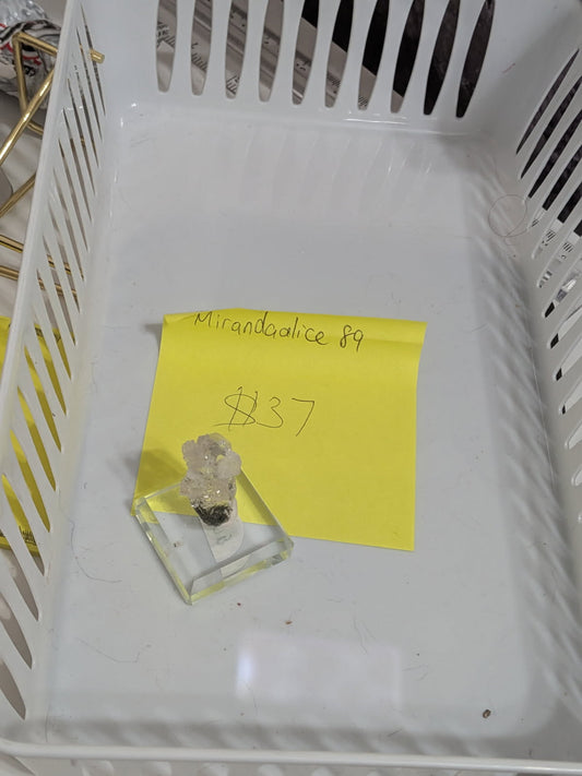 Reserved for Miranda (open)