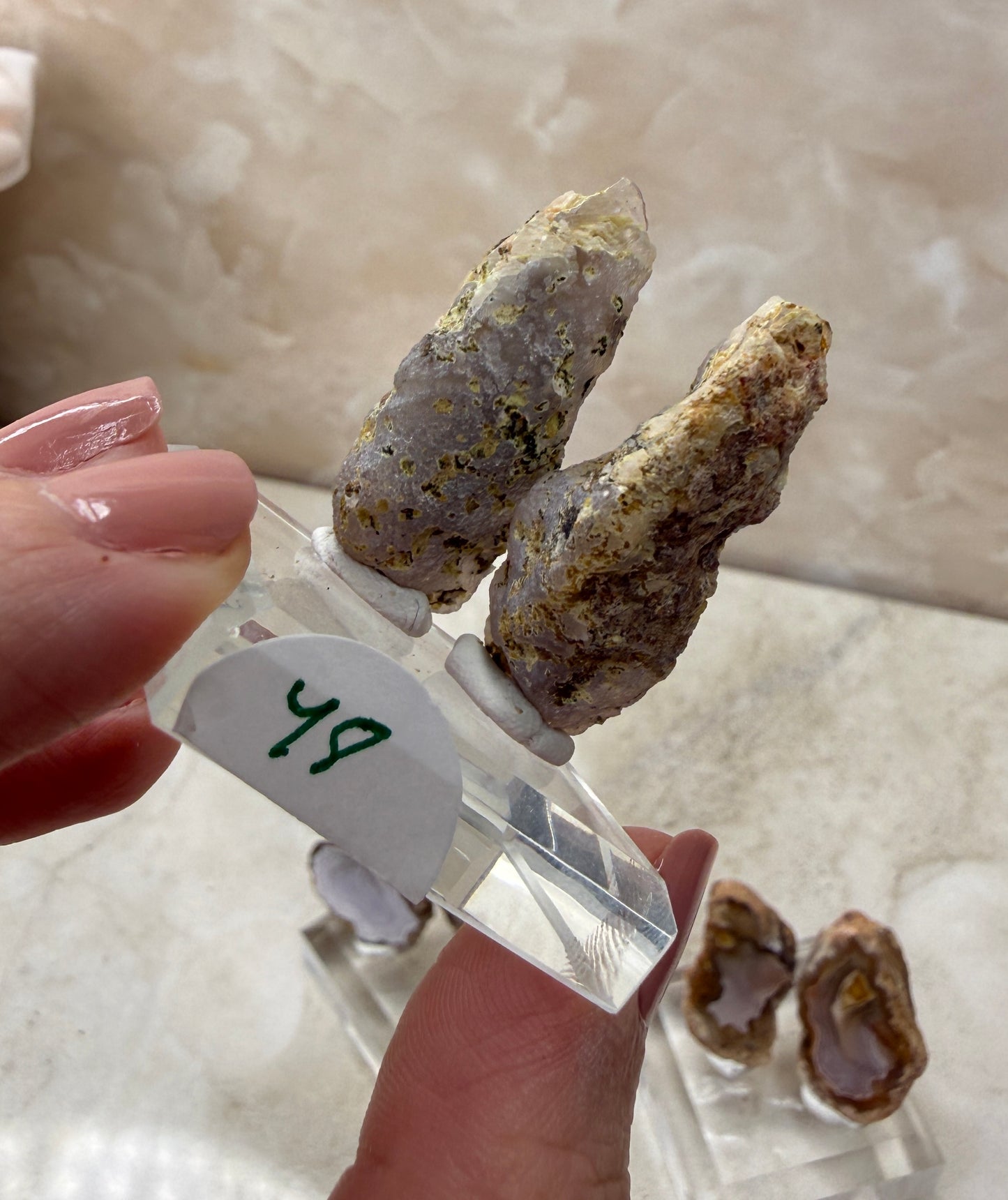 Laguna Agate Pair