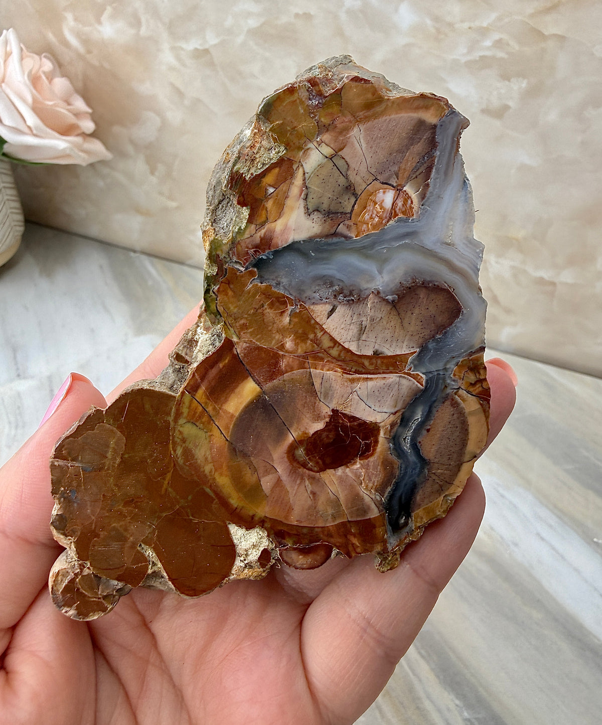 Thunder Agate Egg Pair from Mexico