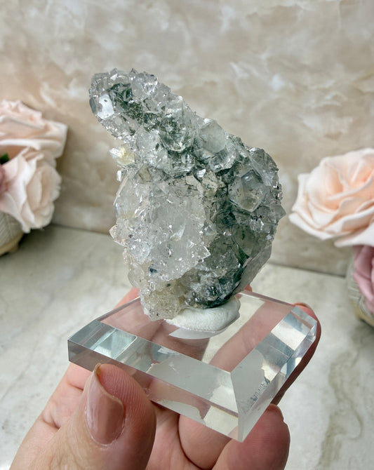 Apopyhllite & Quartz with Chlorite Cluster