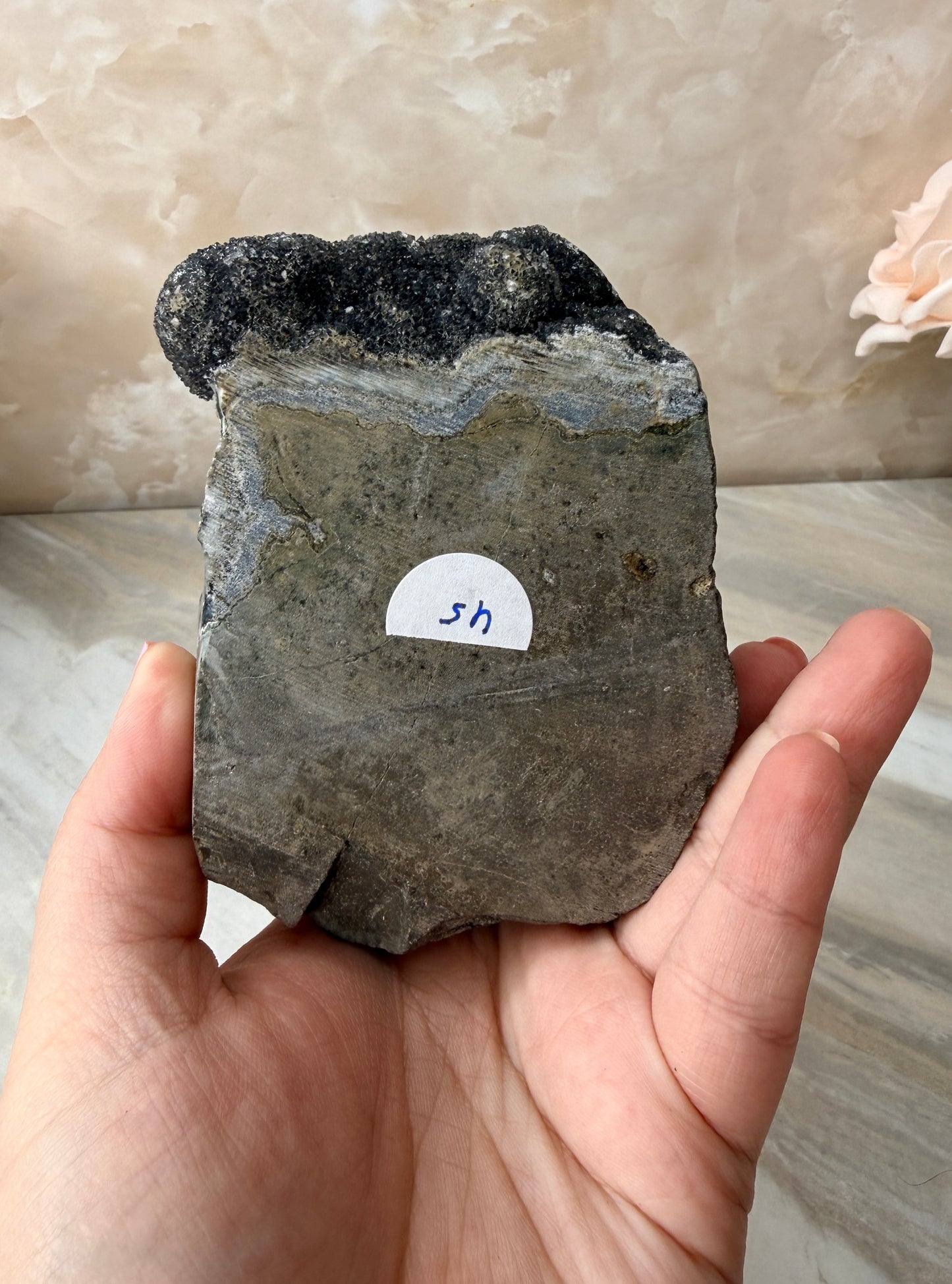 Black Amethyst Cute Base