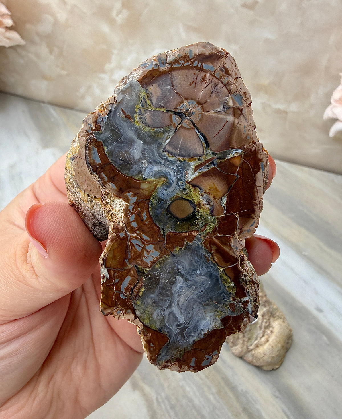 Thunder Agate Egg Pair from Mexico