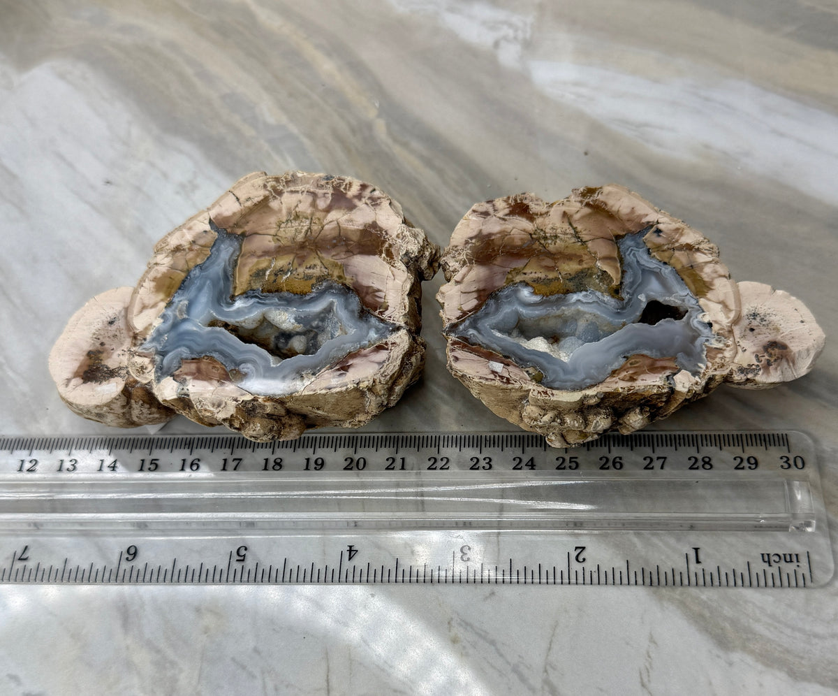 Thunder Agate Egg Pair from Mexico