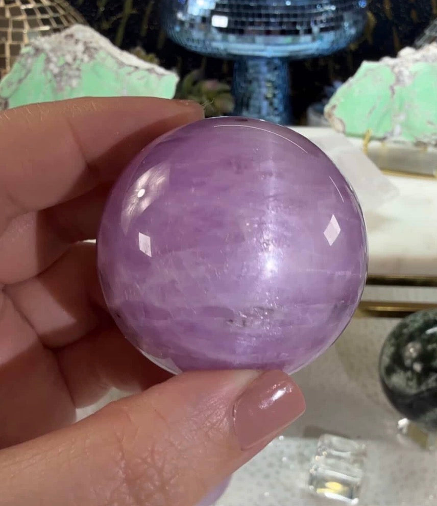 Reserved for Alexandria