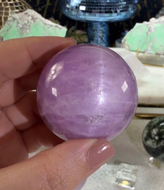 Reserved for Alexandria