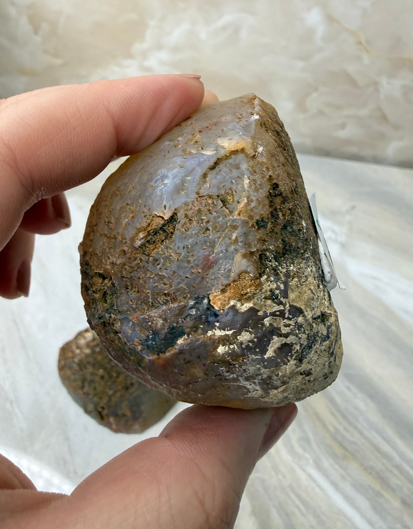 Condor Agate from Argentina