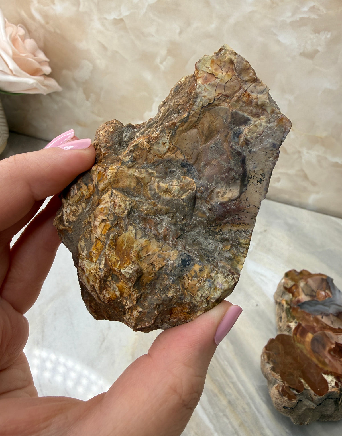 Thunder Agate Egg Pair from Mexico