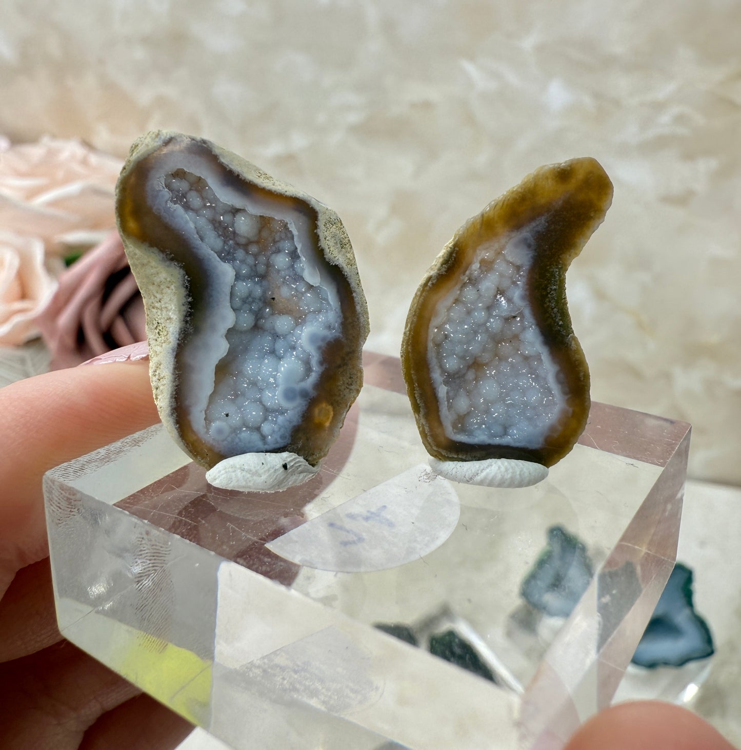 Tabasco Agate Pairs