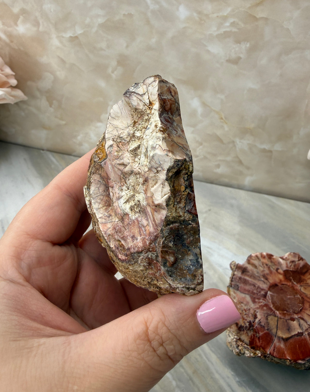 Thunder Agate Egg Pair from Mexico