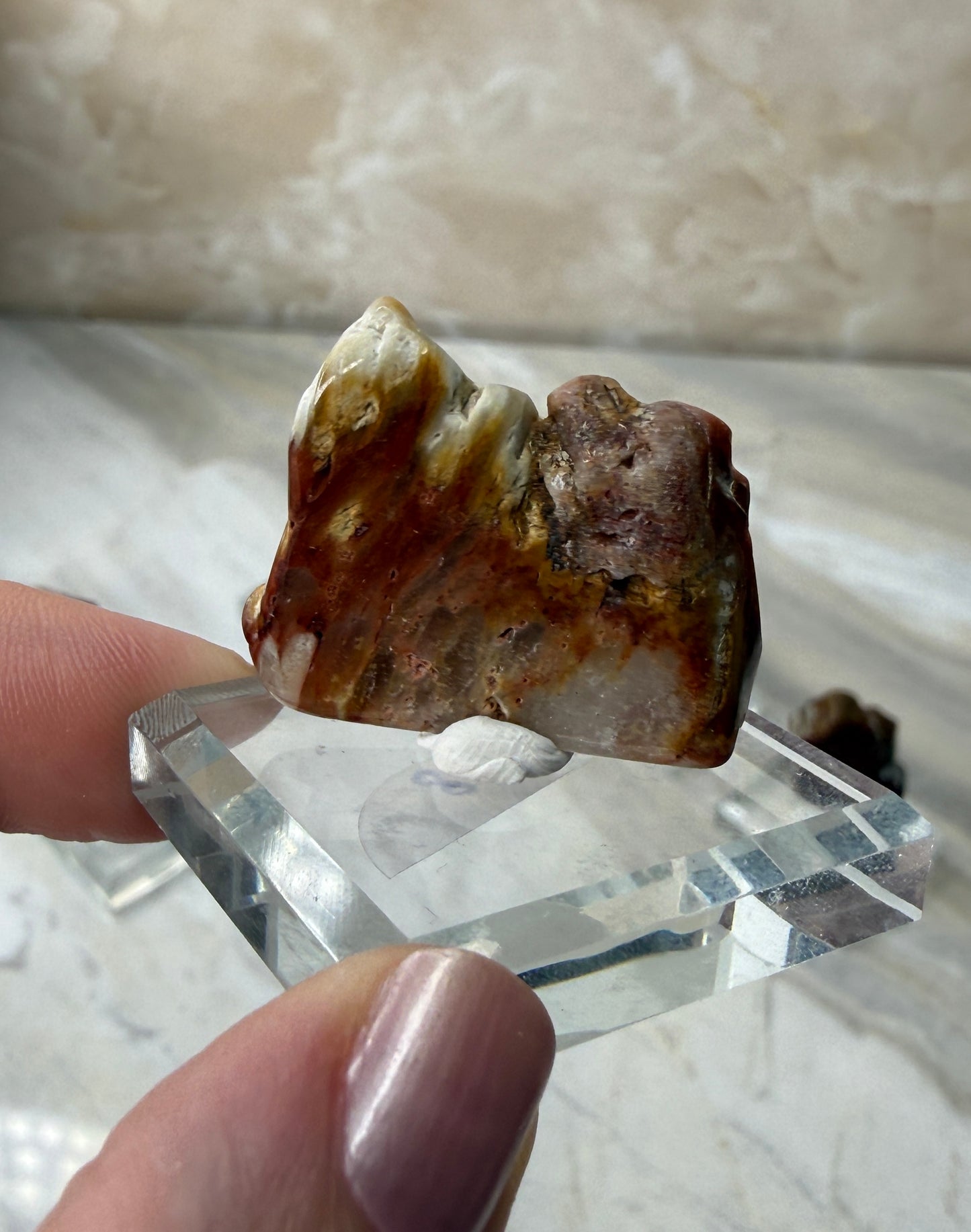 Mini Amphibole Slabs from Brazil