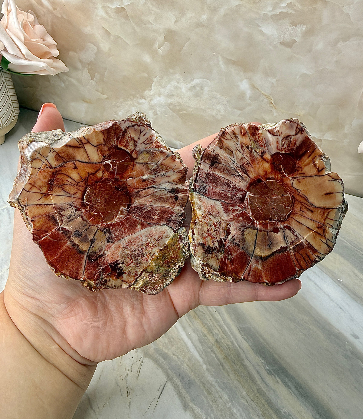 Thunder Agate Egg Pair from Mexico
