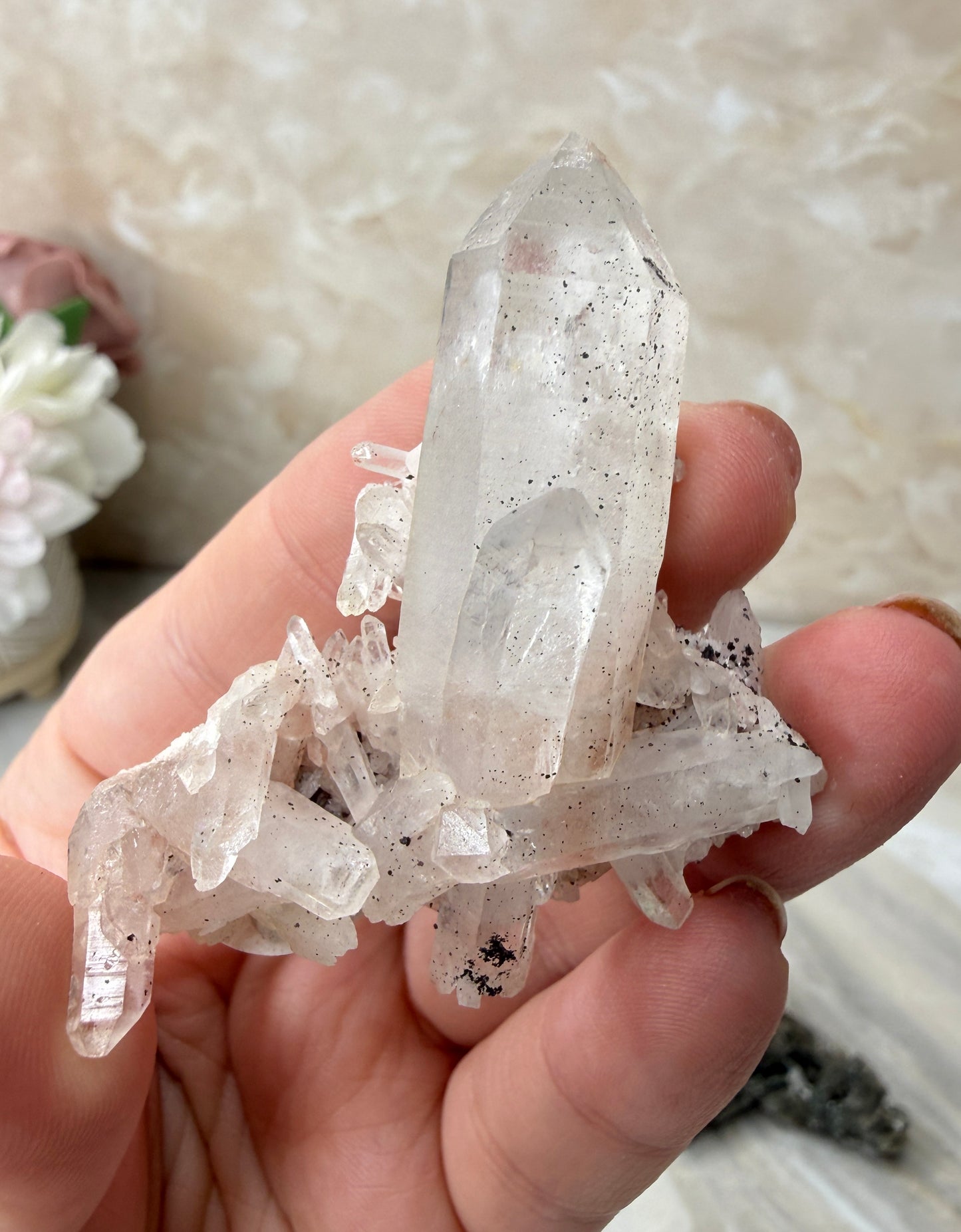 Himalayan Quartz Cluster