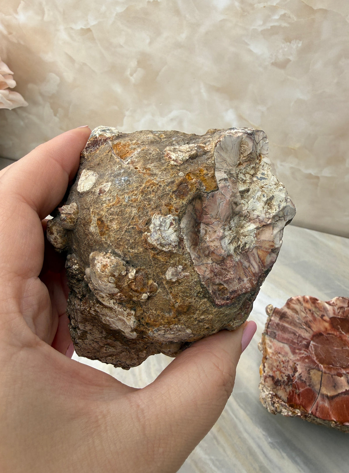 Thunder Agate Egg Pair from Mexico