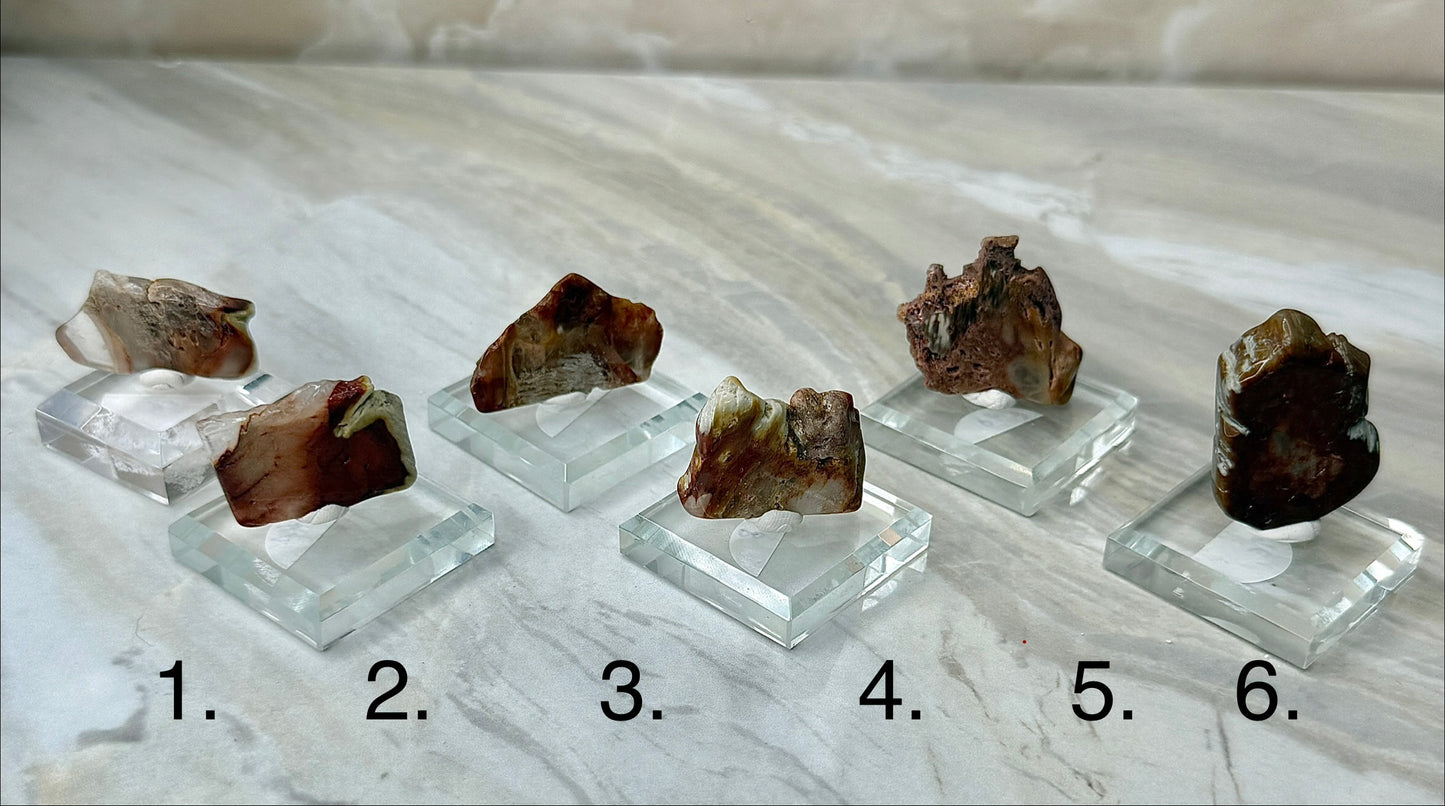 Mini Amphibole Slabs from Brazil