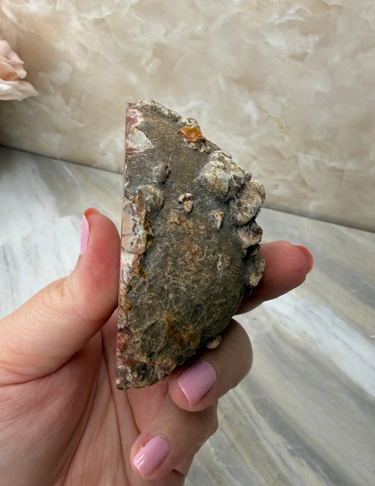 Thunder Agate Egg Pair from Mexico