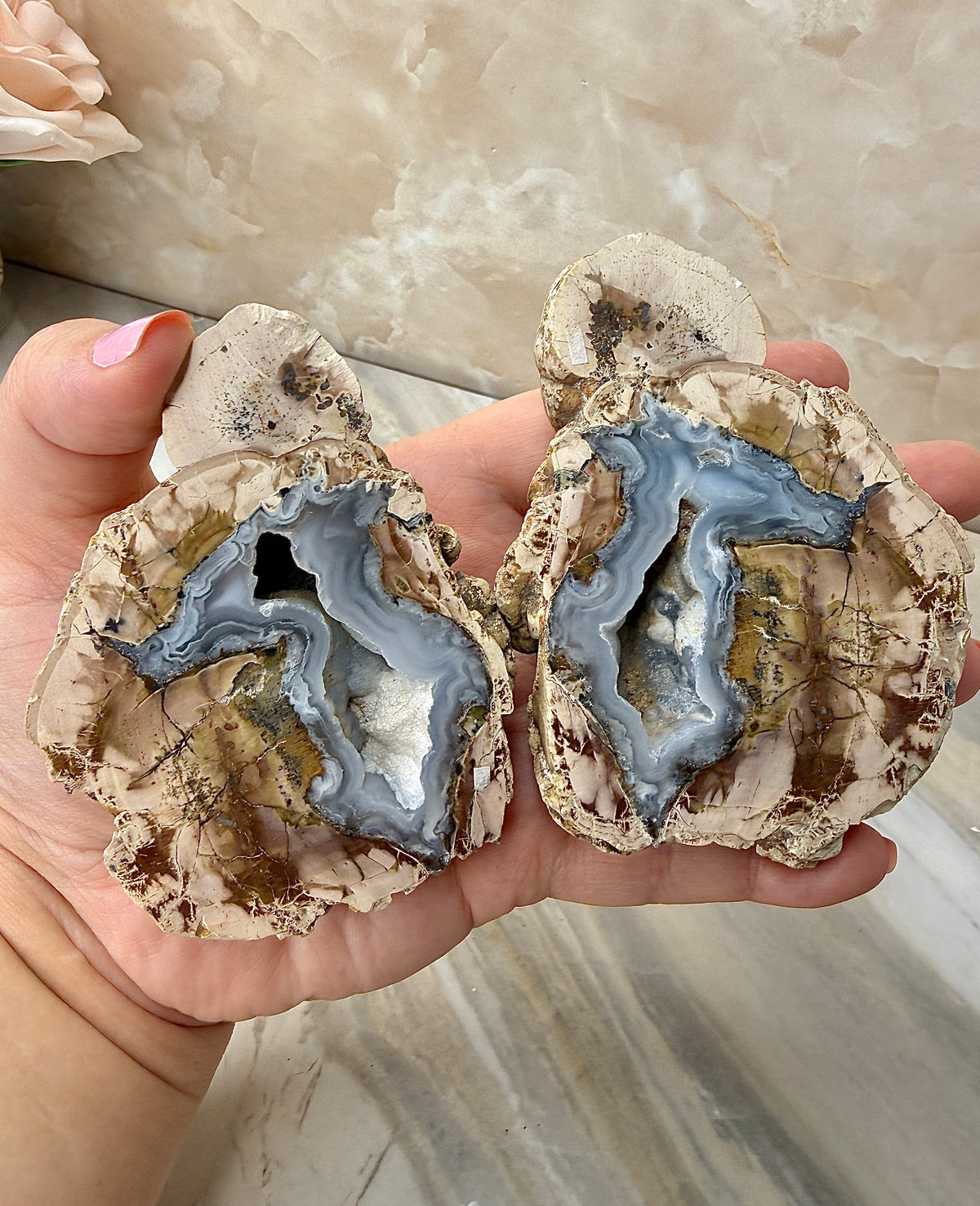 Thunder Agate Egg Pair from Mexico