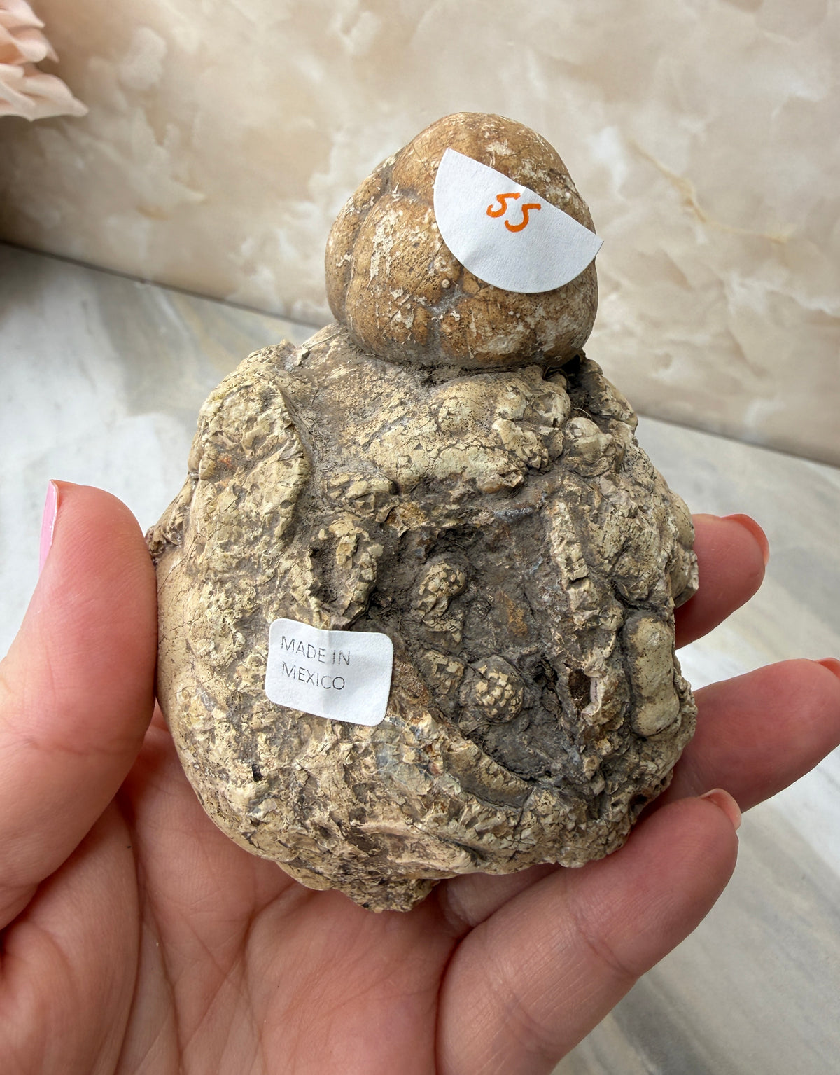Thunder Agate Egg Pair from Mexico