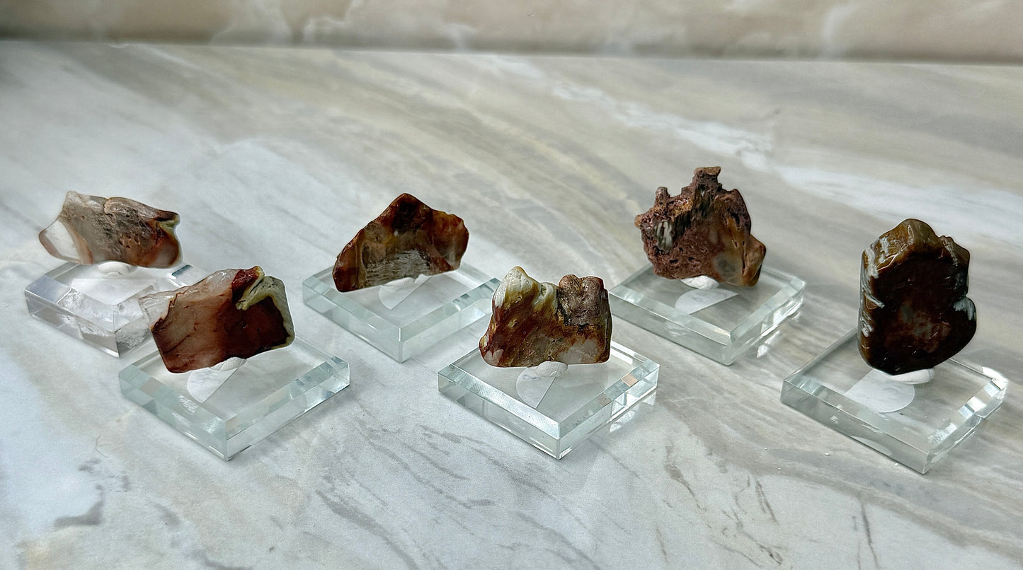 Mini Amphibole Slabs from Brazil